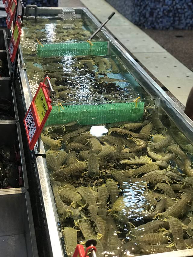 上海批发进货渠道：快速了解最新市场动态